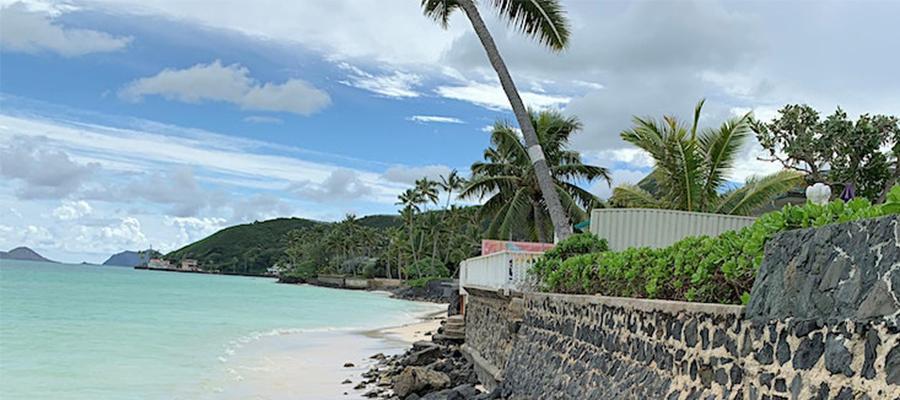 Munro Lecture - Professor Sylvia Yanagisako: Hawaii