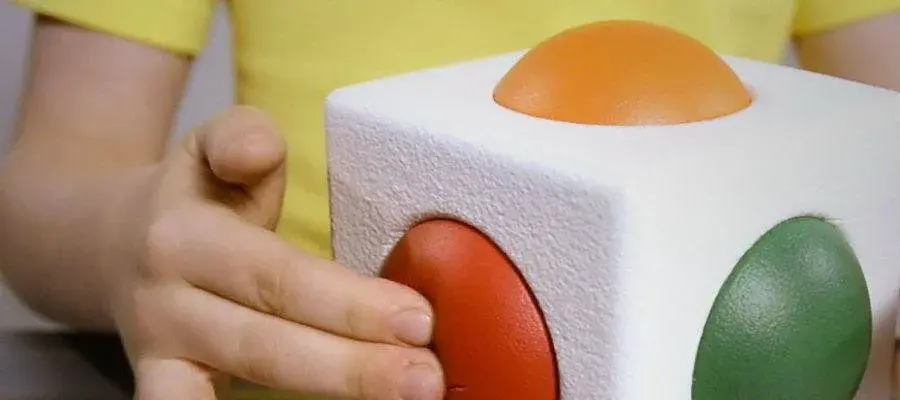 Skoog Impact Case Study