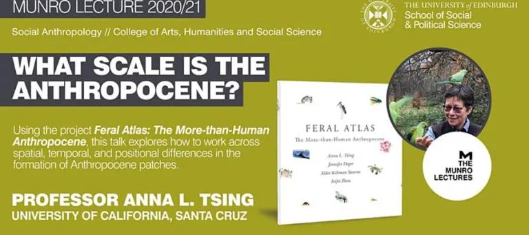 Professor Anna Tsing event banner