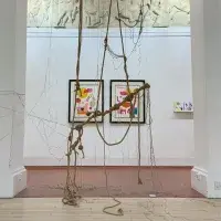 Ophelie Napoli’s Fine Art project spotlights humanity and our place in our ecosystem. 