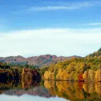 Lake and autumn trees