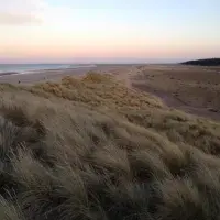 Pink clouds and a beach