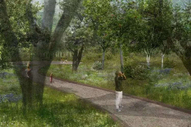 Nikki Petrova Landscape Architecture