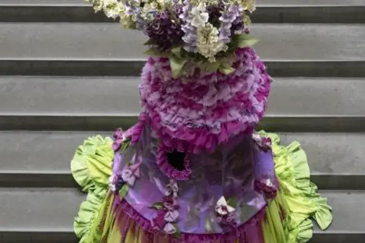 ECA Costume 3