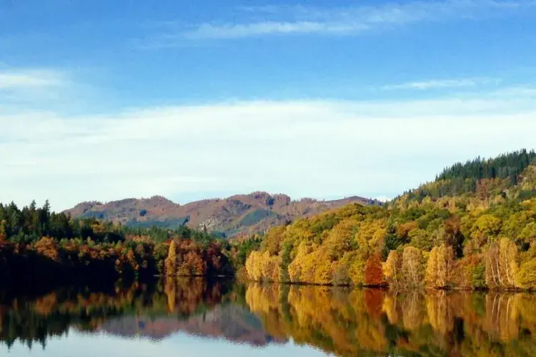 Lake and autumn trees