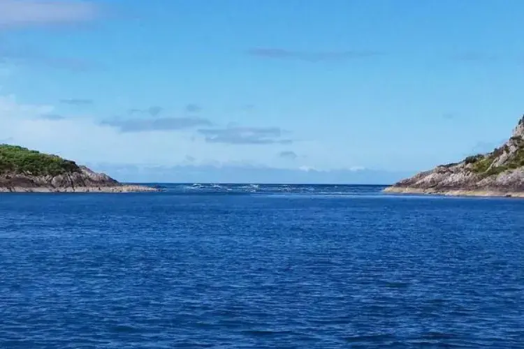 Sea