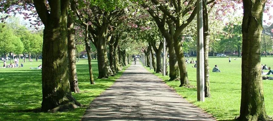 The Meadows in springtime