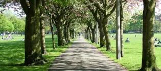 The Meadows in springtime
