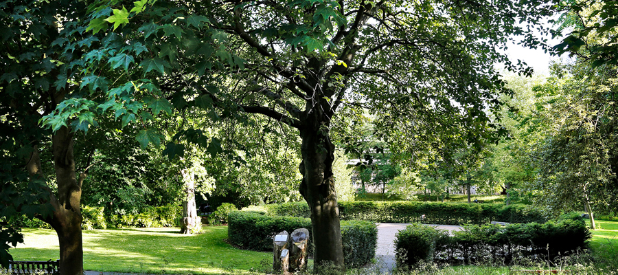 George Square gardens in spring